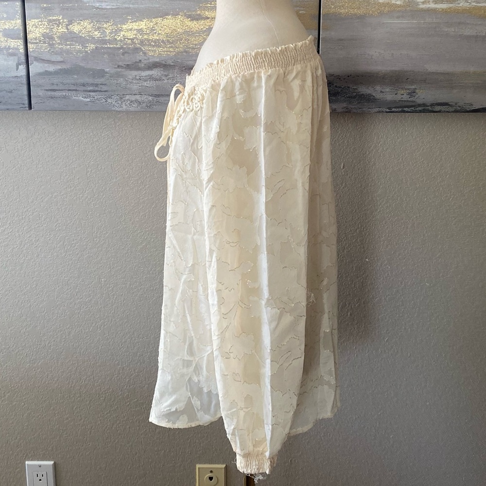 Sheer Blouse - Picture 3 of 5